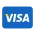 payment with visa card
